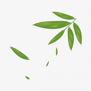 手绘端午节矢量粽叶