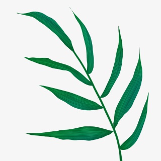 手绘叶子绿色植物素材