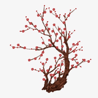手绘梅花PNG免抠图