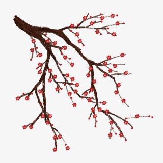 梅花PNG免抠图