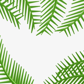 椰子叶免扣背景png