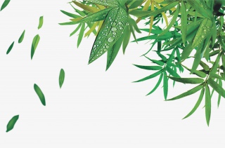 国画竹子