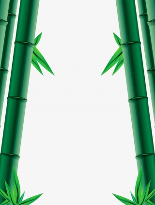 手绘竹子竹叶