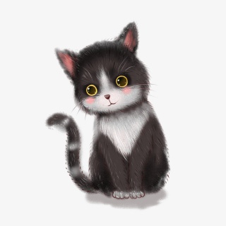 动物系列可爱小猫咪