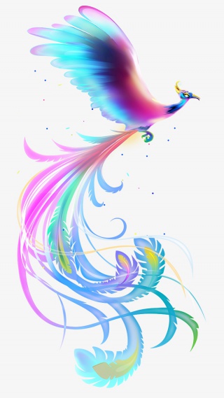 凤凰飞舞梦幻流光