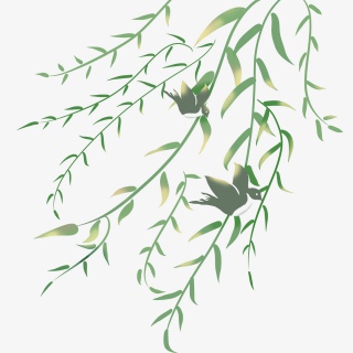 春天阳光照耀柳树插画PNG