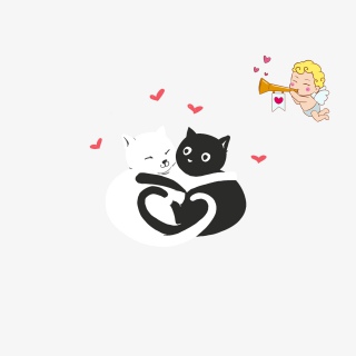 现代情人丘比特猫咪礼盒操场学生