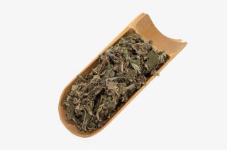 中国中草药植物药材艾叶