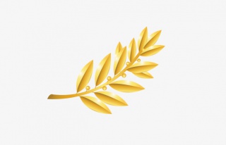 金色闪光植物叶子