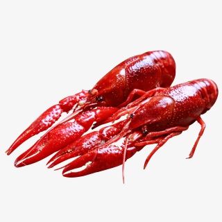 小龙虾