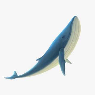 海洋公园海底世界鲸鱼蓝鲸动物手绘