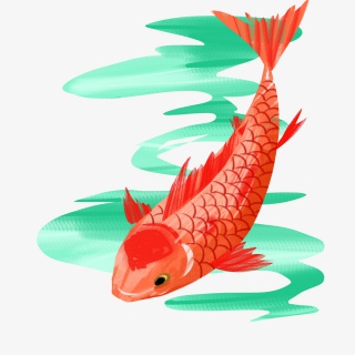 锦鲤