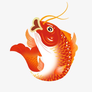红锦鲤
