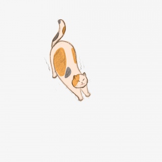 猫咪伸懒腰手绘风