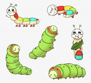 彩色毛毛虫