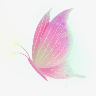 梦幻动物粉色星空蝴蝶
