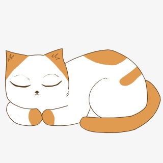 猫咪宠物玩耍快乐胖猫喵喵周末黄猫
