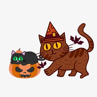 典雅猫咪单纯幼稚的样子充溢喜爱