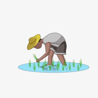 春天春耕农民天地插秧手绘