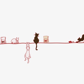 猫咪分割线手绘插画