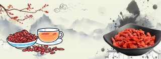 枸杞养生中国风白色banner