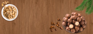 坚果简约褐色海报背景banner
