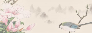 中国风工笔花鸟意境banner背景