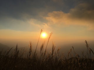 武功山夕阳景色